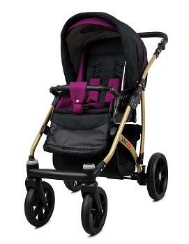 Kočárek Baby Lux Largo Gold Black Purple