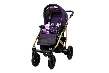 Kočárek Baby Lux Largo Gold Violet Flowers 